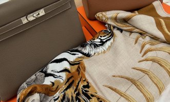 Tigre.jpeg
