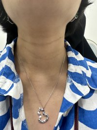 IMG_2981.jpeg