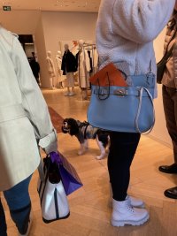 IMG_2454.jpeg