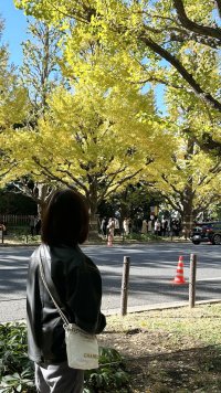 IMG_4852.jpeg