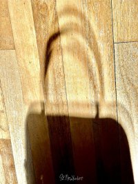 IMG_4757.jpeg