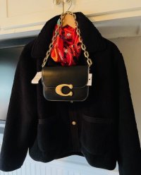 Coach Idol Bag.jpg