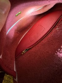 IMG_7281.jpeg