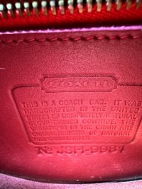 IMG_7280.jpeg