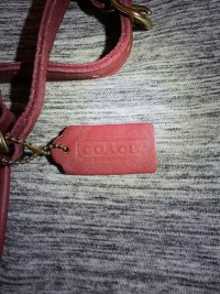 IMG_7276.jpeg