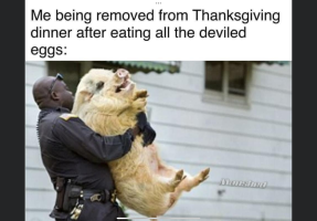 IMG_3564.png