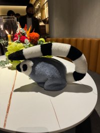 IMG_5782.jpeg