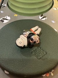 IMG_5795.jpeg