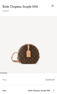 Screenshot_20231124_133848_Louis Vuitton.jpg