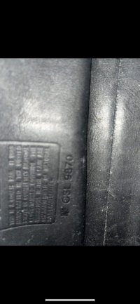 IMG_7964.jpeg