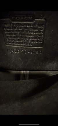 IMG_7976.jpeg