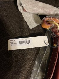 IMG_7369.jpeg