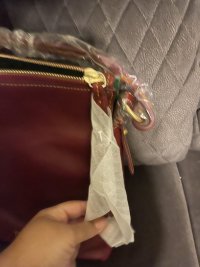 IMG_7374.jpeg