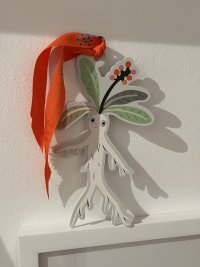 IMG_5534.jpeg