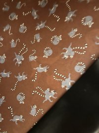 IMG_5536.jpeg
