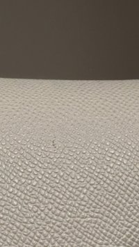 IMG_2504.jpeg