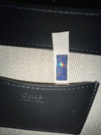 IMG_4939.jpeg