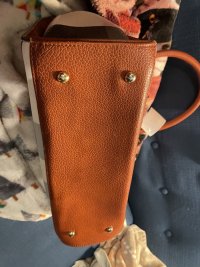IMG_5655.jpeg
