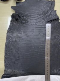 IMG_1519.jpeg