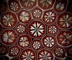 IMG_2113.jpeg