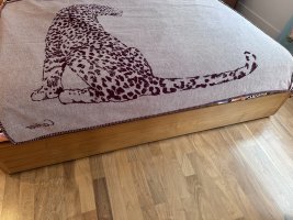 IMG_1938.jpeg