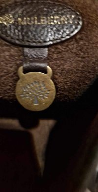 IMG_2699.jpeg