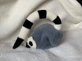 IMG_0526.jpeg