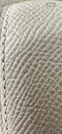 IMG_0869.png
