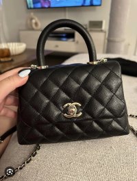 IMG_8335.jpeg