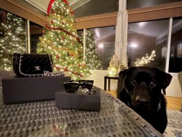 IMG_9940.jpeg