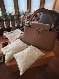 lv ostrich capucines.jpg