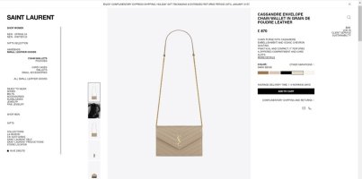 YSL.jpg
