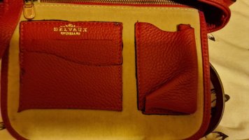 delvaux (6).jpg