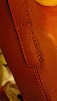 delvaux (5).jpg
