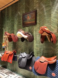 IMG_9237.jpeg