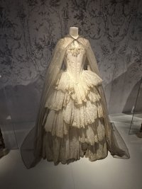 IMG_5656.jpeg