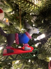 IMG_5095.jpeg