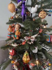IMG_7484.jpeg