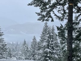 IMG_3449.jpeg