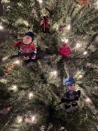 IMG_3450.jpeg