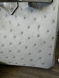 IMG_1546.jpeg