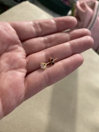 IMG_5917.jpeg