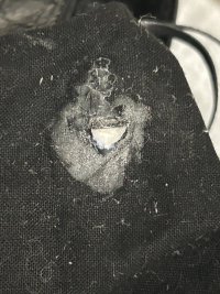 IMG_0740.jpeg