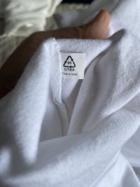 IMG_2037.jpeg