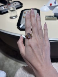 IMG_0552.jpeg