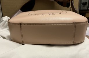 IMG_7379.jpeg
