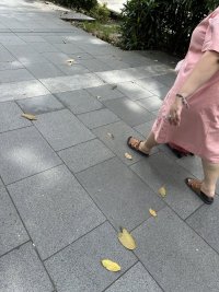 IMG_7271.jpeg