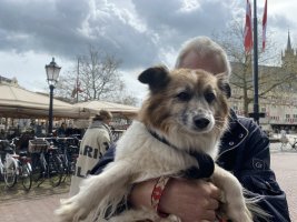 IMG_9006.jpeg