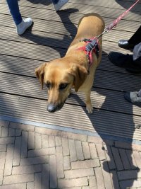 IMG_8700.jpeg
