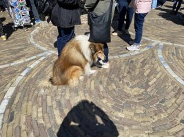 IMG_8696.jpeg